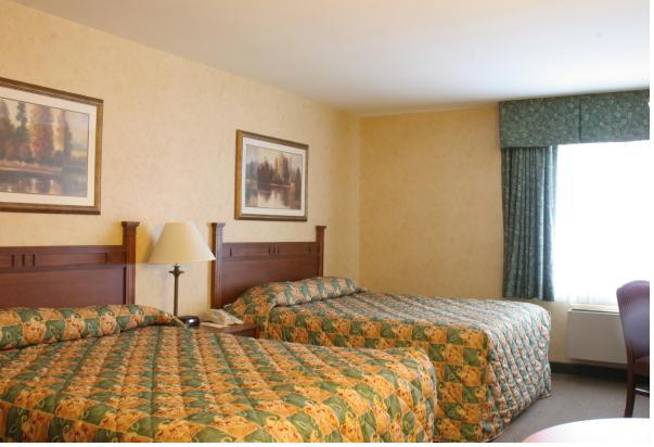 Wisp Resort Hotel And Conference Center McHenry Pokój zdjęcie